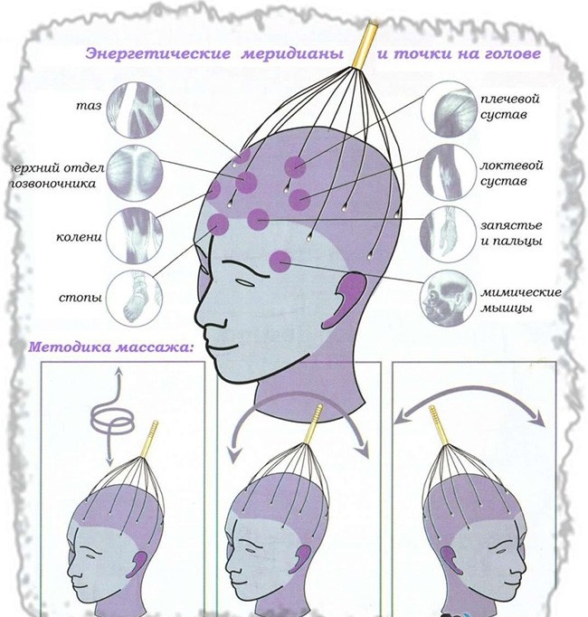Urut kepala dan leher untuk pertumbuhan rambut, meningkatkan peredaran darah. Faedah, kontraindikasi, teknik terbaik