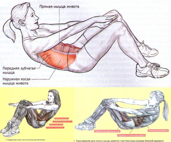 Latihan untuk postur lurus di gim dan di rumah