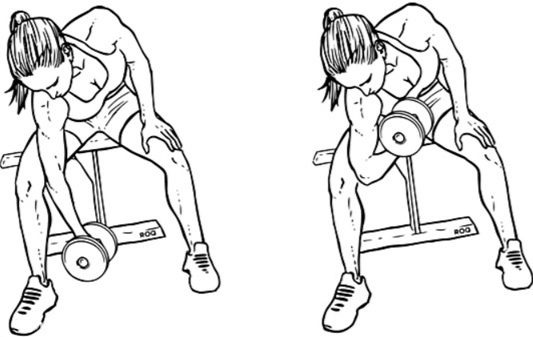 Oefeningen voor biceps met en zonder halters, op een horizontale balk, met een halter voor meisjes. Home-programma