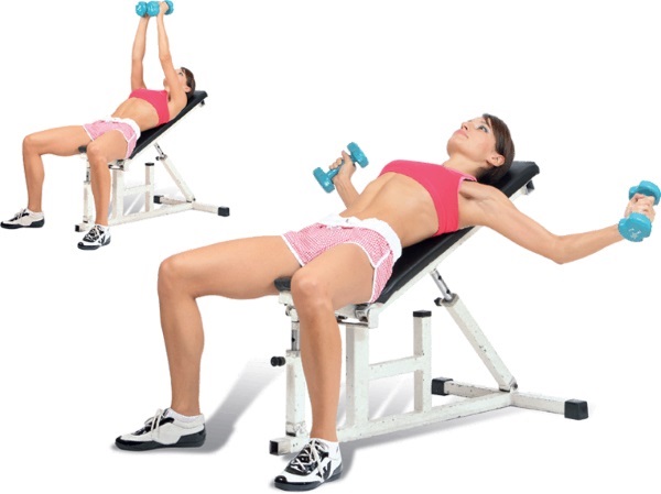 تدريب عضلات الصدر في صالة الألعاب الرياضية للفتيات ، وفقدان الوزن