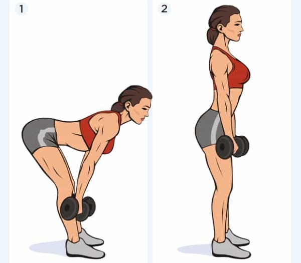 Latihan untuk otot trapezius belakang dengan dumbbells untuk wanita