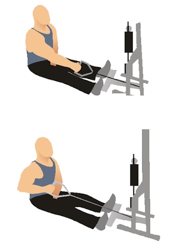 Rij van het horizontale blok aan de riem, borst, buik, schouders, rug met een smalle, brede greep tijdens zitten, staan. Uitvoeringstechnieken