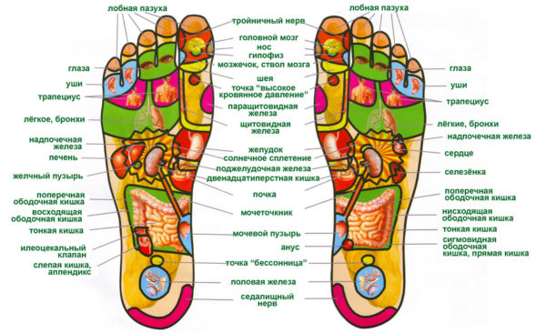 Titik akupunktur pada kaki manusia. Susun atur kaki kiri, kanan