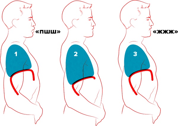 Πώς να αντλήσετε τον εγκάρσιο κοιλιακό μυ. Ασκήσεις προπόνησης