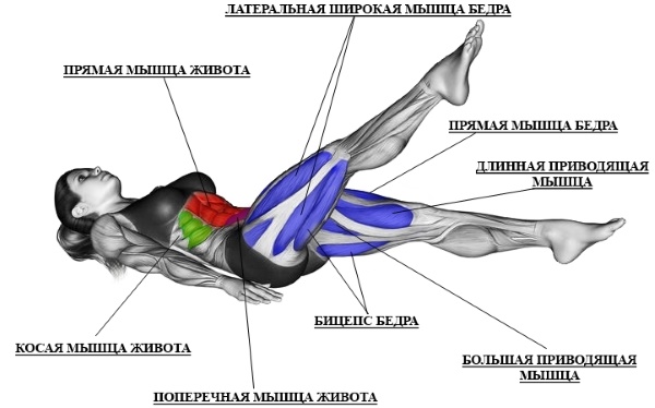 Senaman gunting kaki: otot mana yang berfungsi, faedahnya, bagaimana melakukannya