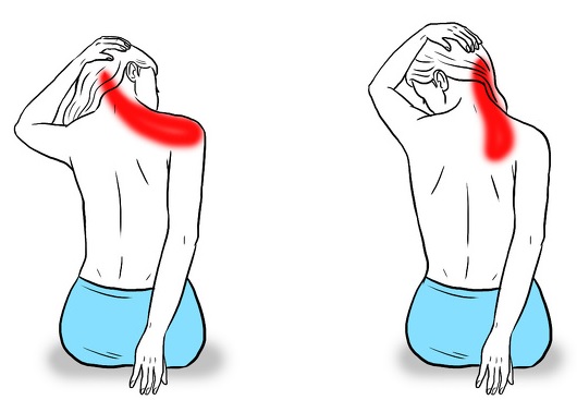 Exercicis per a la zona del coll i el coll, massatges. Com fer videotutorials