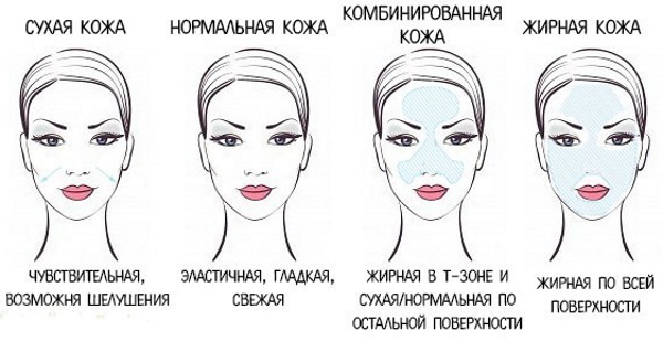 Hauttypen in der Kosmetik. Einstufung, Bestimmungskriterien, Foto